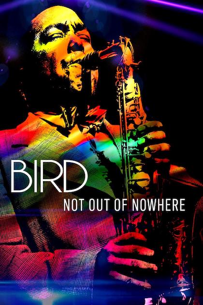 Bird Not Out of Nowhere (2020)